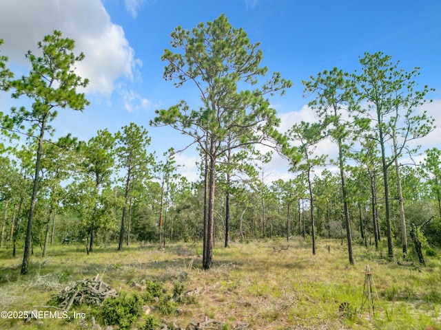 23063 SW Edgewater Blvd, Dunnellon, FL 34431 - view of woods