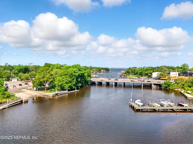 3958 Baymeadows Rd Unit 1602, Jacksonville, FL 32217 - photo 86
