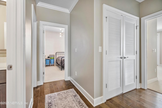 361 Amalurra Trl, Saint Johns, FL 32259 - hallway featuring crown molding, dark wood-style flooring, and baseboards
