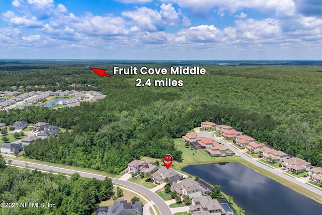 361 Amalurra Trl, Saint Johns, FL 32259 - aerial overview of property's location featuring a forest, a large body of water, and nearby suburban area
