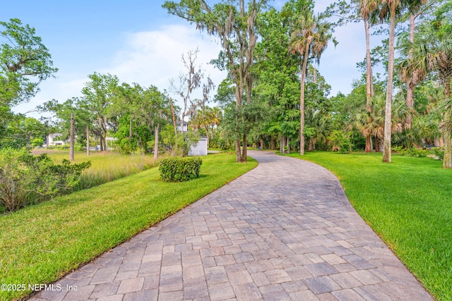 24544 Deer Trace Dr, Ponte Vedra Beach, FL 32082 - photo 5