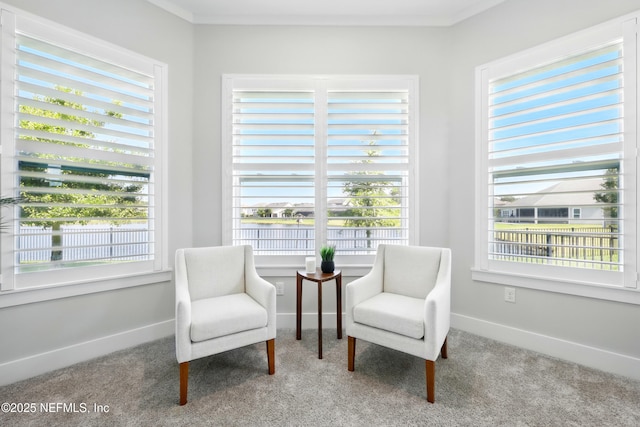 living area featuring carpet flooring and baseboards