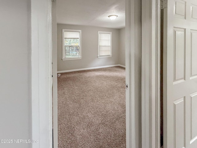 274 Tallulah Ave, Jacksonville, FL 32208 - photo 44