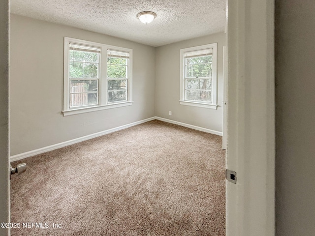 274 Tallulah Ave, Jacksonville, FL 32208 - photo 54