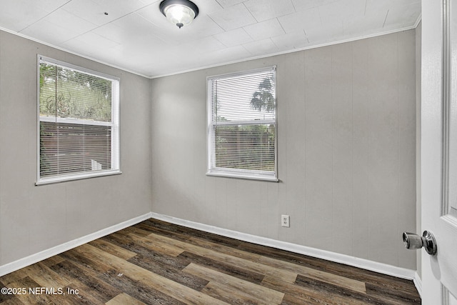 2511 Caladium Rd, Jacksonville, FL 32211 - photo 21