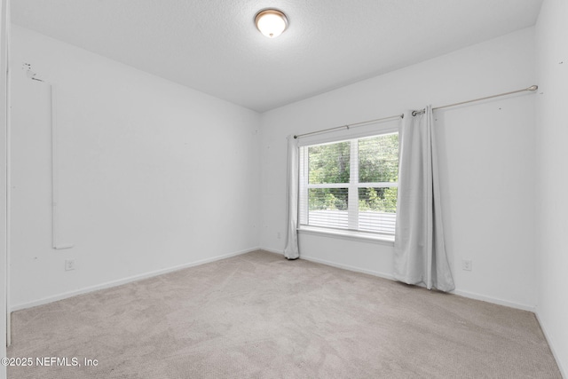 2634 Copperwood Ave, Orange Park, FL 32073 - photo 12