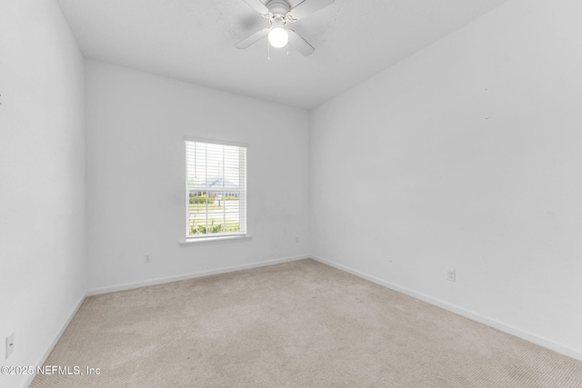 2634 Copperwood Ave, Orange Park, FL 32073 - photo 14