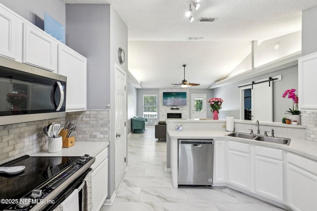 3100 Hickory Glen Dr, Orange Park, FL 32065 - kitchen featuring stainless steel appliances, a sink, a barn door, a ceiling fan, and a peninsula