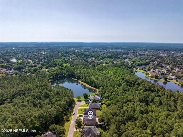 8719 Derry Dr, Jacksonville, FL 32244 - aerial view of a forest and a nearby body of water