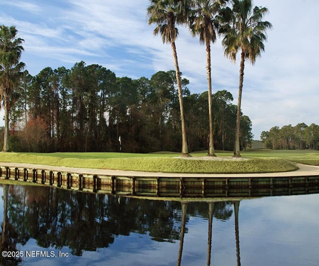 2035 Arden Forest Pl, Fleming Island, FL 32003 - water view with a tree filled landscape