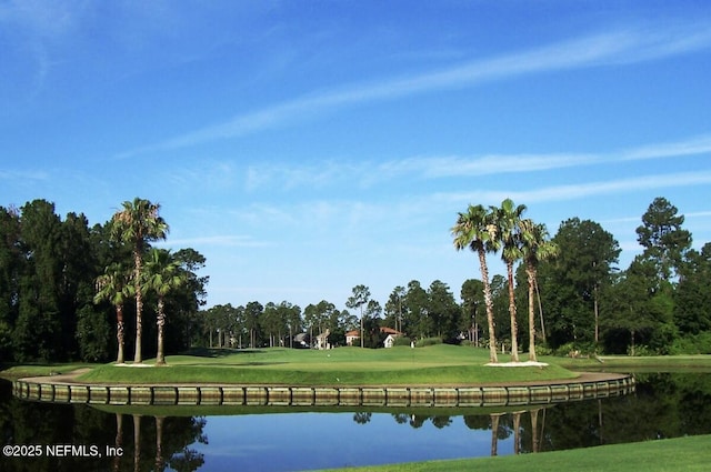 2035 Arden Forest Pl, Fleming Island, FL 32003 - surrounding community featuring golf course view, a yard, a water view, and view of scattered trees