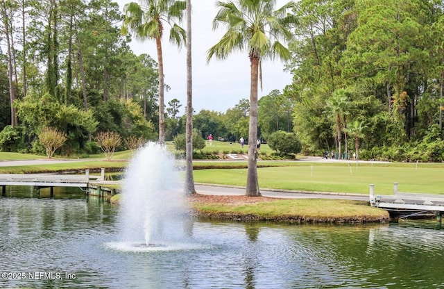2035 Arden Forest Pl, Fleming Island, FL 32003 - water view with a tree filled landscape