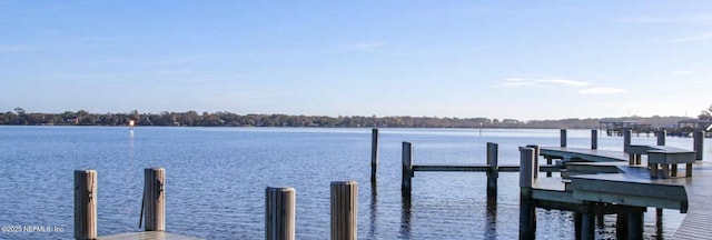 2035 Arden Forest Pl, Fleming Island, FL 32003 - dock featuring a water view