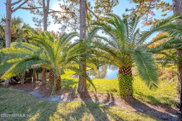 3276 Pullian Ct, Jacksonville Beach, FL 32250 - photo 40