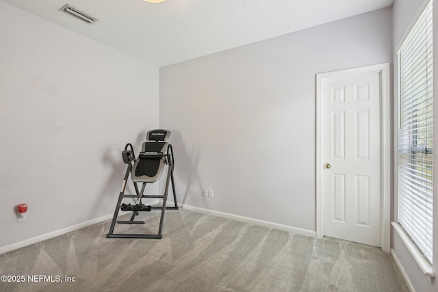 1867 Paradise Moorings Blvd, Middleburg, FL 32068 - workout area featuring carpet, plenty of natural light, and baseboards