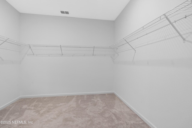 727 Lake Sinclair St, Saint Augustine, FL 32084 - walk in closet featuring carpet