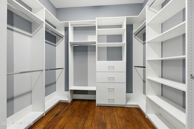 318 Sophia Ter, Saint Augustine, FL 32095 - spacious closet with dark wood-style floors and elevator