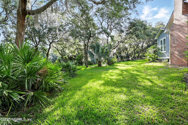 318 Sophia Ter, Saint Augustine, FL 32095 - view of green lawn