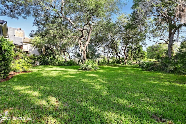 318 Sophia Ter, Saint Augustine, FL 32095 - view of green lawn