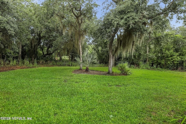 318 Sophia Ter, Saint Augustine, FL 32095 - view of green lawn