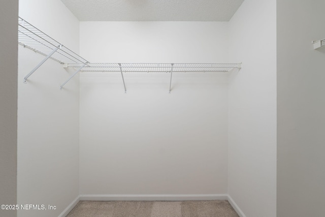 204 Augusta Cir, Saint Augustine, FL 32086 - walk in closet with light colored carpet
