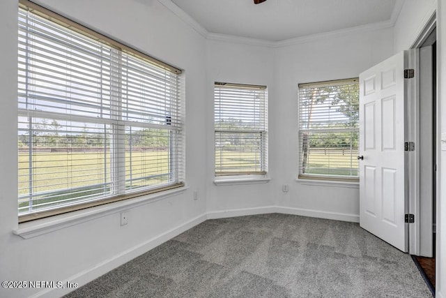27359 Geiger Rd, Hilliard, FL 32046 - spare room featuring crown molding, carpet floors, and baseboards