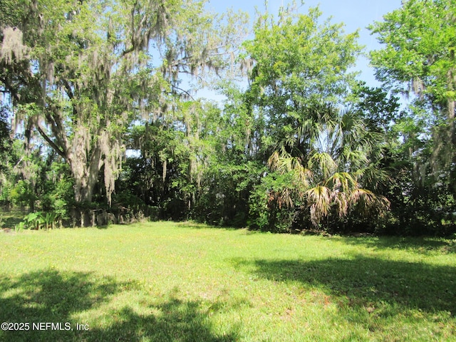 1551 Mar Vic Ln, Jacksonville, FL 32218 - photo 4