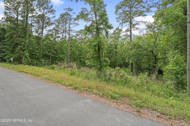 5175 Chicory Cir, Middleburg, FL 32068