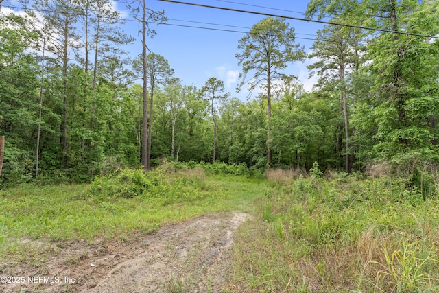 5175 Chicory Cir, Middleburg, FL 32068