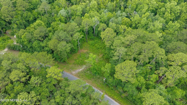 5175 Chicory Cir, Middleburg, FL 32068