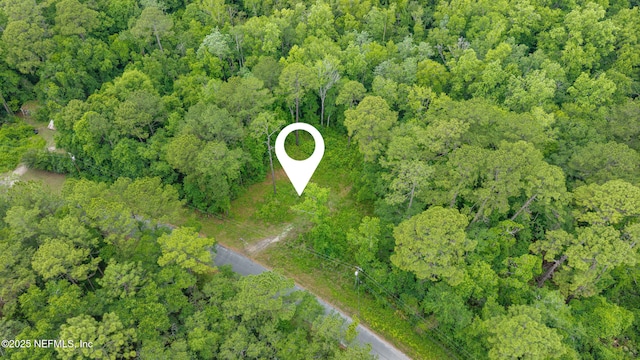 5175 Chicory Cir, Middleburg, FL 32068