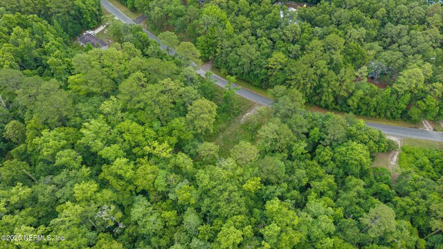 5175 Chicory Cir, Middleburg, FL 32068