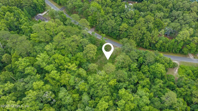 5175 Chicory Cir, Middleburg, FL 32068