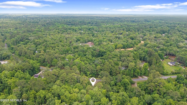 5175 Chicory Cir, Middleburg, FL 32068