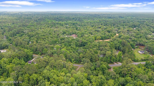 5175 Chicory Cir, Middleburg, FL 32068