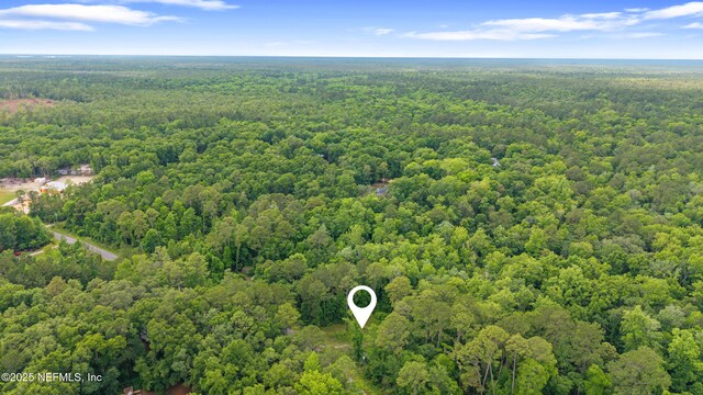 5175 Chicory Cir, Middleburg, FL 32068