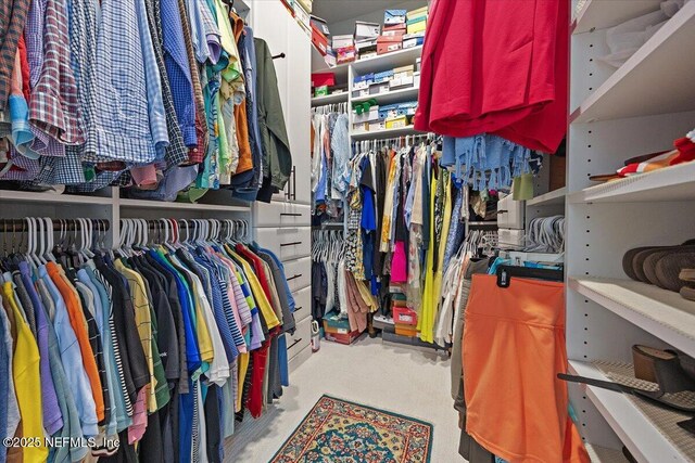 433 Marsh Cove Dr, Ponte Vedra Beach, FL 32082 - walk in closet with carpet flooring