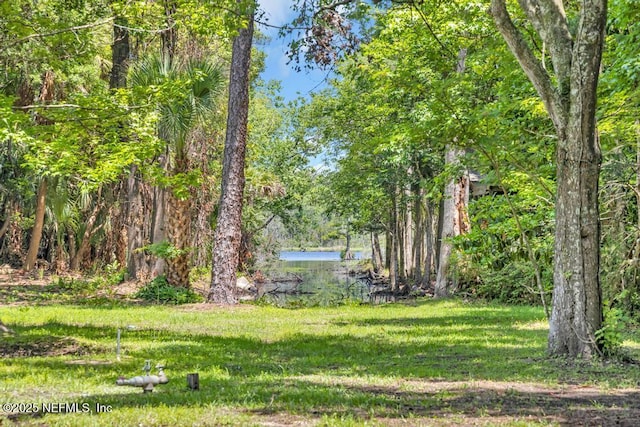 6343 Ortega Farms Blvd, Jacksonville, FL 32244 - photo 2