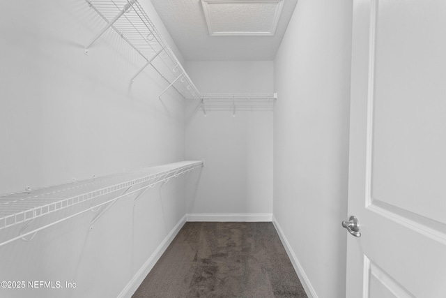 walk in closet with dark carpet