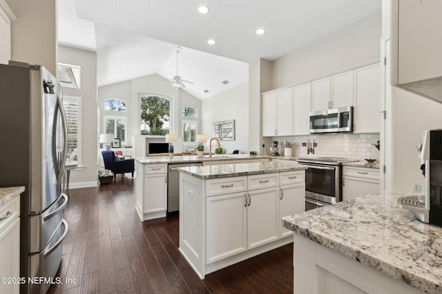 724 Piney Pl, Saint Johns, FL 32259 - kitchen with stainless steel appliances, a ceiling fan, open floor plan, dark wood finished floors, and recessed lighting