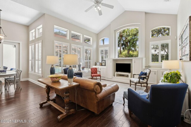 724 Piney Pl, Saint Johns, FL 32259 - living area with high vaulted ceiling, dark wood-style floors, and a ceiling fan