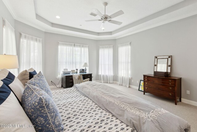 724 Piney Pl, Saint Johns, FL 32259 - bedroom featuring a tray ceiling, multiple windows, carpet flooring, and baseboards