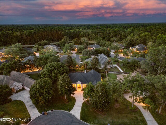 724 Piney Pl, Saint Johns, FL 32259 - aerial view of property's location featuring a forest and nearby suburban area