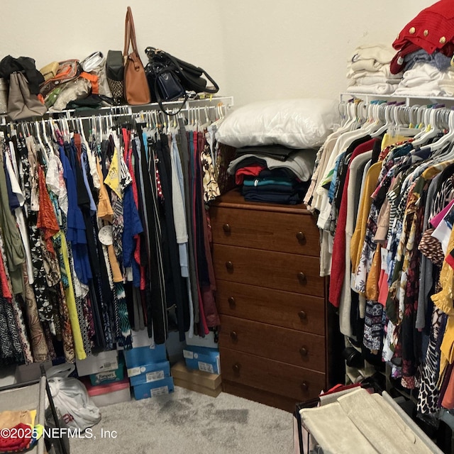 10470 Collins Field Cir, Jacksonville, FL 32222 - spacious closet featuring carpet floors