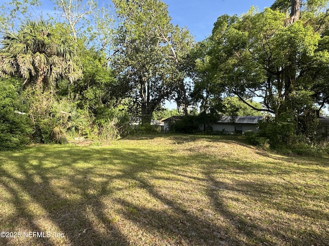 1457 Bassett Rd, Jacksonville, FL 32208 - view of grassy yard