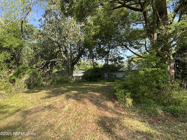 1457 Bassett Rd, Jacksonville, FL 32208 - view of yard
