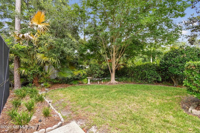 324 Hammock Grove Ct, Saint Johns, FL 32259 - view of grassy yard