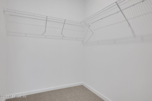 478 Cherry Elm Dr, Saint Augustine, FL 32092 - spacious closet with carpet