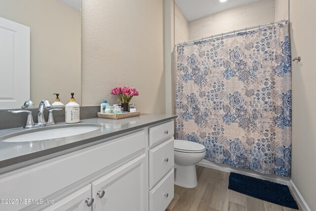 383 Saint Vincent Dr, Saint Augustine, FL 32092 - full bath with vanity, toilet, wood finished floors, and a shower with shower curtain