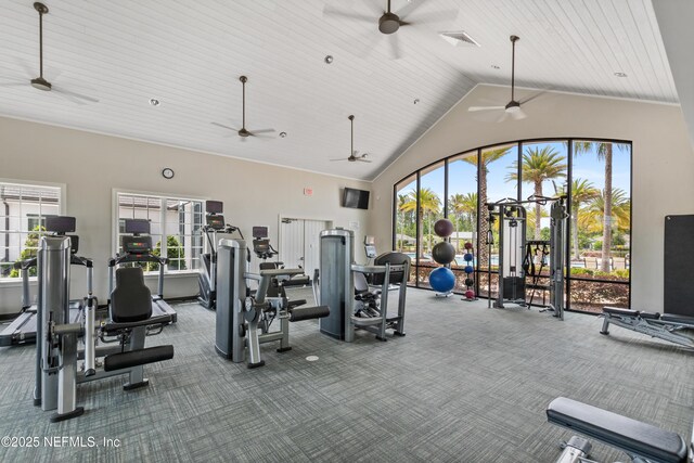 383 Saint Vincent Dr, Saint Augustine, FL 32092 - gym featuring ceiling fan, carpet flooring, and high vaulted ceiling